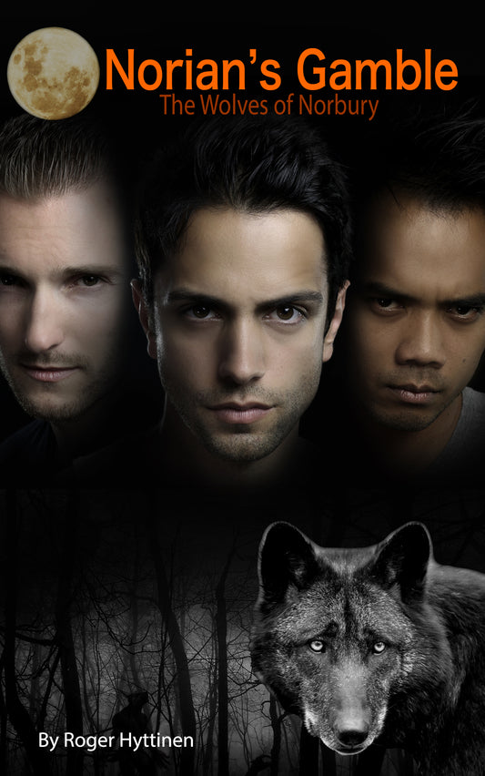 Norian's Gamble, EBOOK